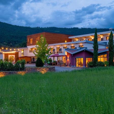 Main-Vinotel Weingut Helmstetter Бюргштадт Экстерьер фото